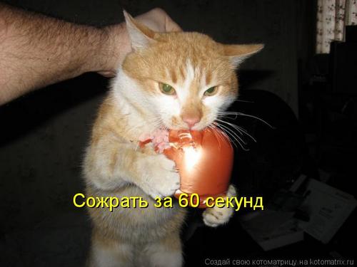 4743317_1M (500x375, 22Kb)