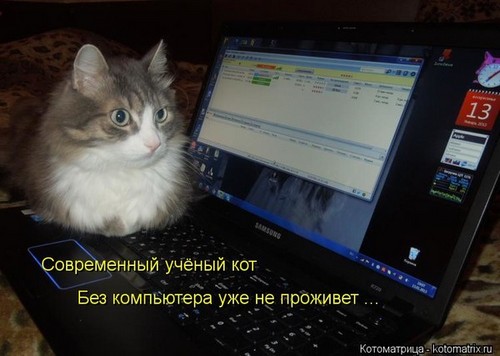 4743317_142489557_e511e68f0287b51e7a2ccc6321c8fd17_i4001 (500x356, 43Kb)