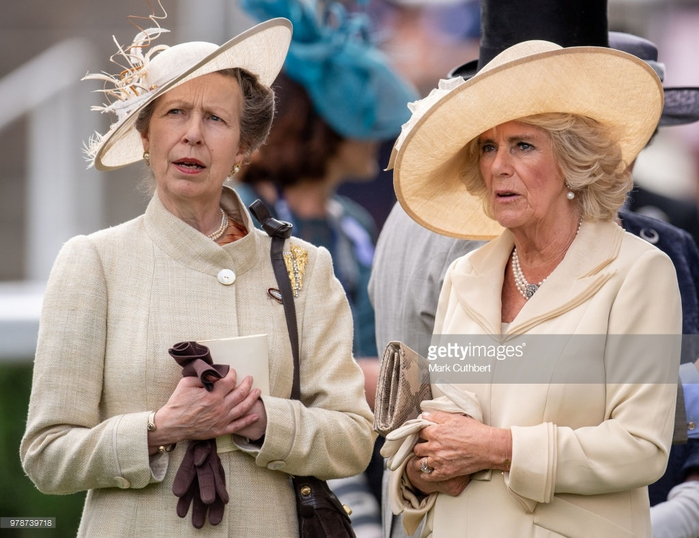 Royal Ascot 19.06.18 35 (700x538, 356Kb)