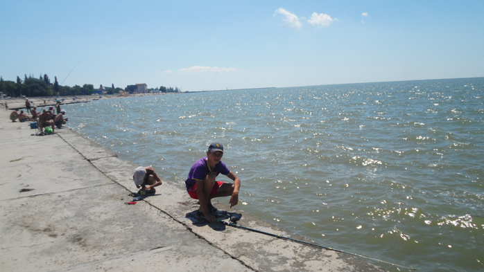 SAM_2341 (700x393, 293Kb)