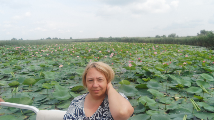 SAM_2201 (700x393, 293Kb)