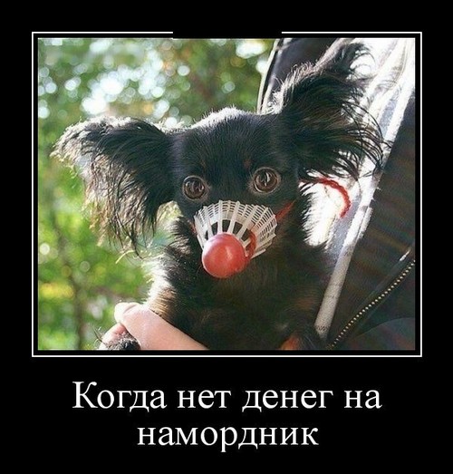 4743317_imageek (500x523, 68Kb)