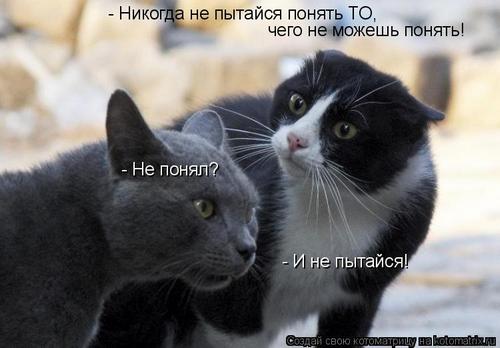 4743317_k (500x348, 25Kb)