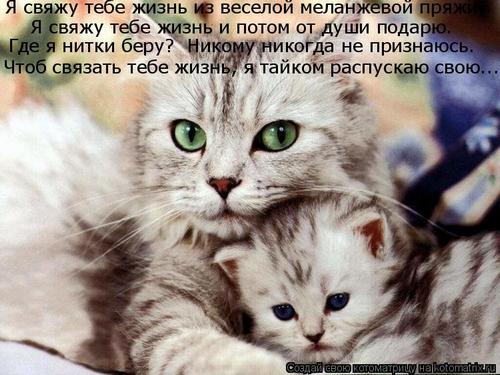 4743317_L2l (500x375, 42Kb)