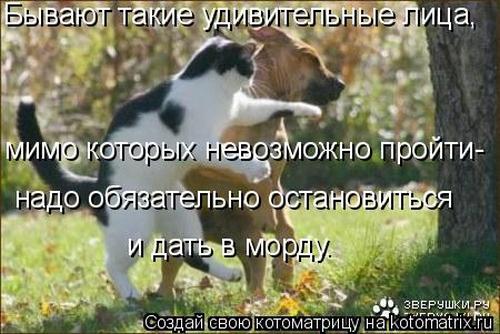 4743317_ld (500x334, 41Kb)