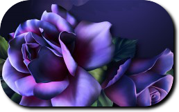 title651356168 (258x162, 69Kb)
