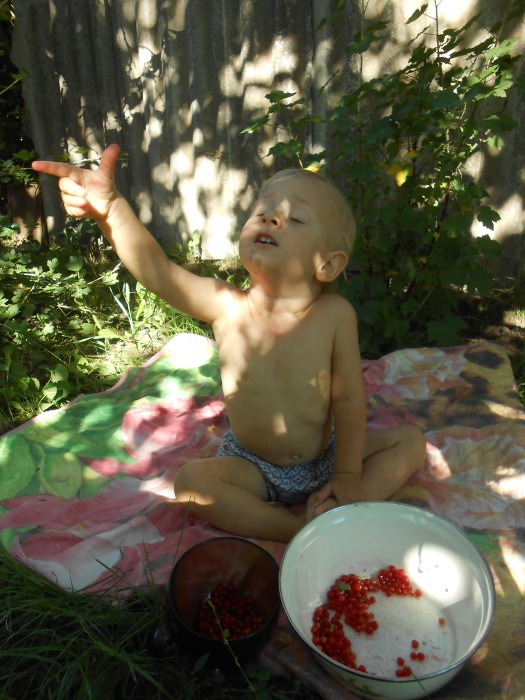 DSCN5087 (525x700, 120Kb)
