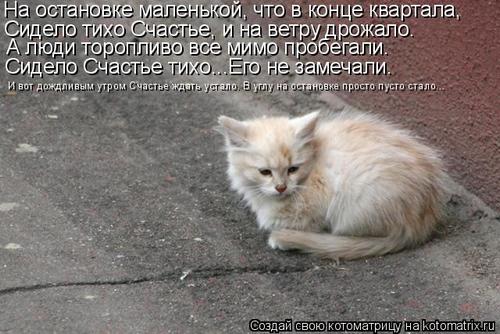 4743317_N (500x334, 41Kb)