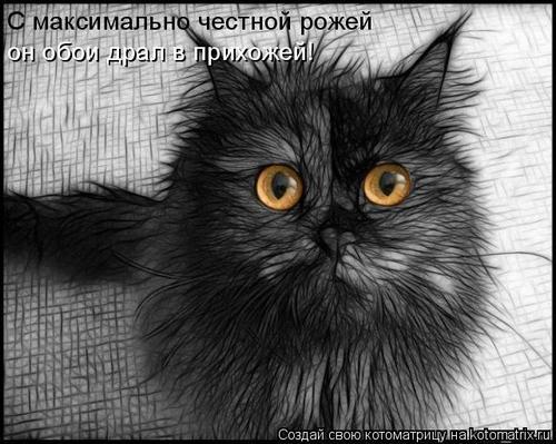 4743317_PR (500x399, 44Kb)