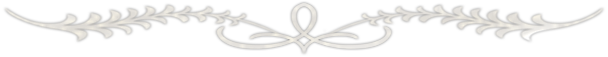   (11) (608x57, 55Kb)
