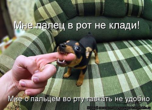 4743317_3W (500x362, 43Kb)