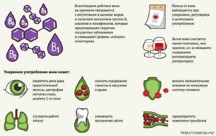 5745884_alkogol_3 (700x441, 150Kb)