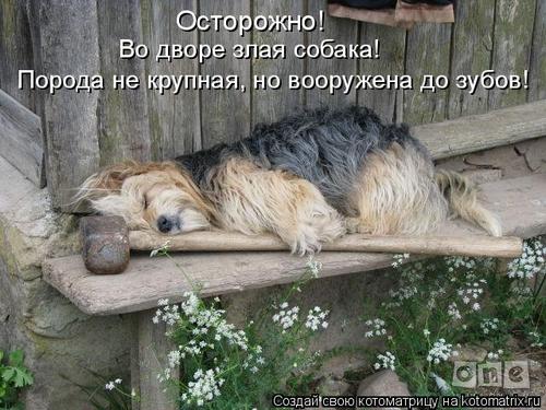  (500x380, 41Kb)/4743317_2G (500x375, 47Kb)