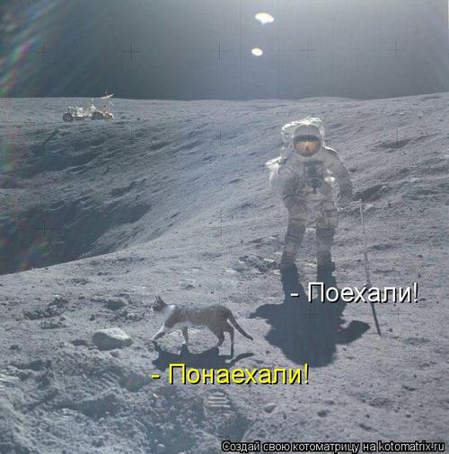 4743317_318145 (500x506, 44Kb)