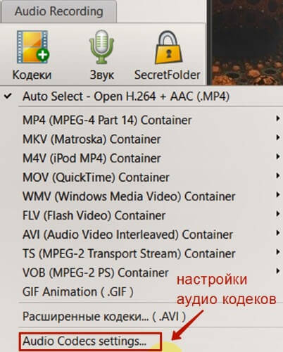 oCam Screen Recorder24 (402x500, 111Kb)