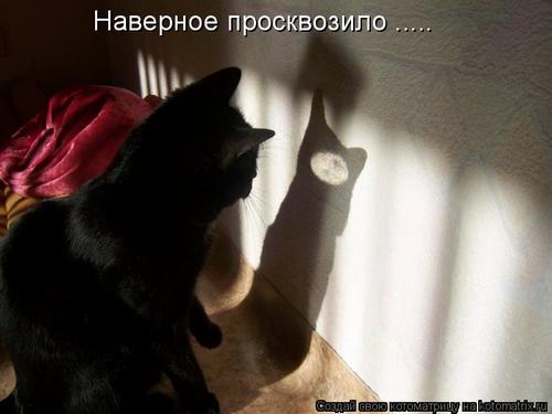 4743317_320397 (500x375, 21Kb)