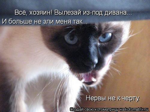 4743317_321303 (500x375, 30Kb)