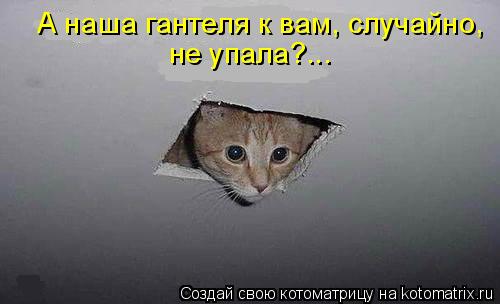 4743317_322980 (500x304, 20Kb)