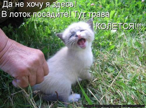 4743317_324040 (500x371, 48Kb)