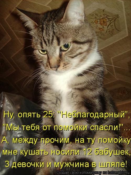 4743317_324547 (500x667, 74Kb)