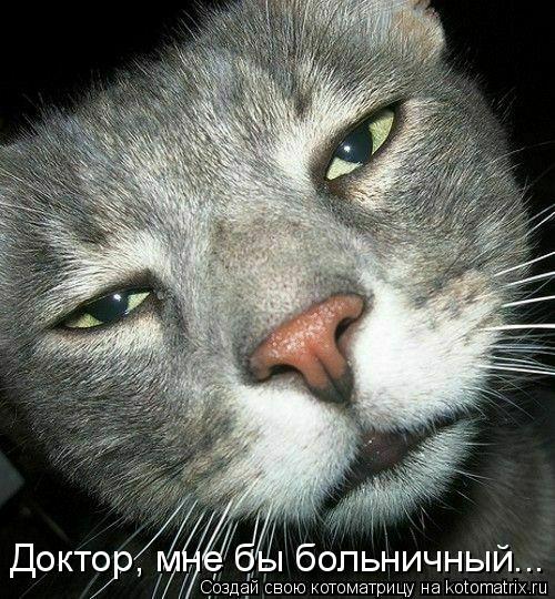 4743317_325028 (500x540, 78Kb)