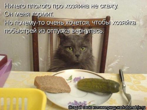 4743317_326474 (500x374, 32Kb)