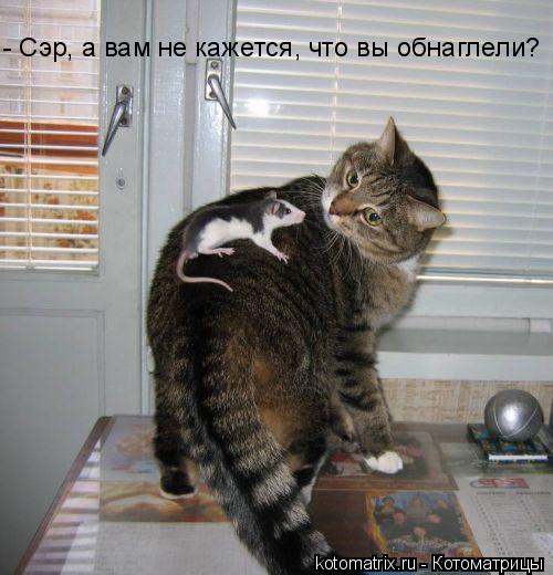 4743317_327286 (500x520, 45Kb)