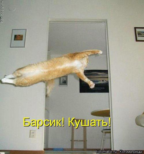 4743317_329490 (500x534, 28Kb)
