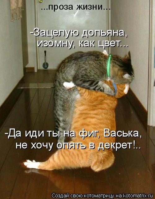 4743317_330366 (500x644, 55Kb)