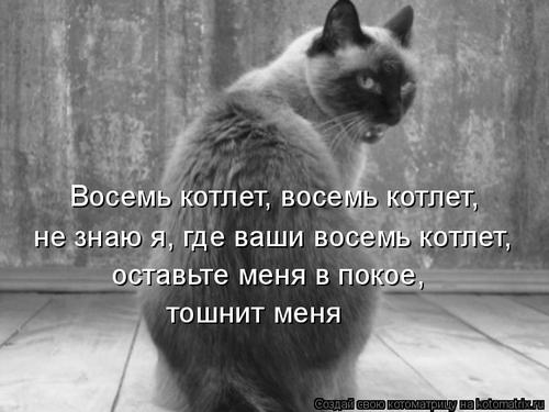 4743317_331490 (500x375, 31Kb)