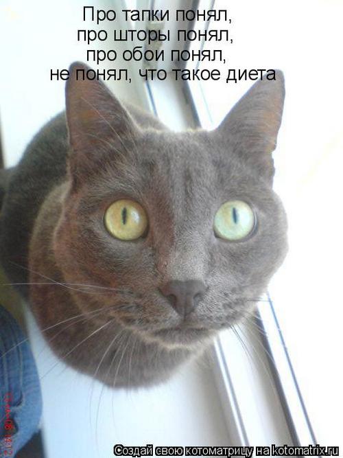 4743317_332588 (500x667, 43Kb)