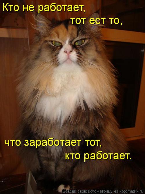 4743317_333483 (500x667, 45Kb)