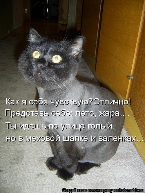4743317_333938 (500x667, 66Kb)