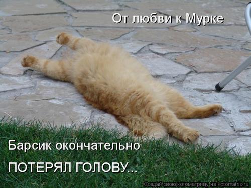 4743317_334261 (500x375, 37Kb)