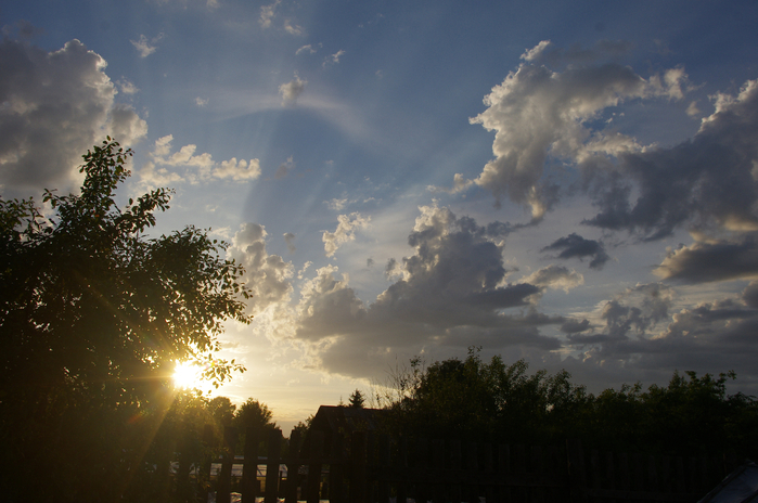 IMGP6885 (700x464, 370Kb)