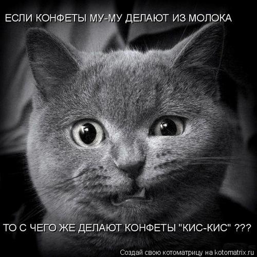 4743317_334766 (500x500, 50Kb)
