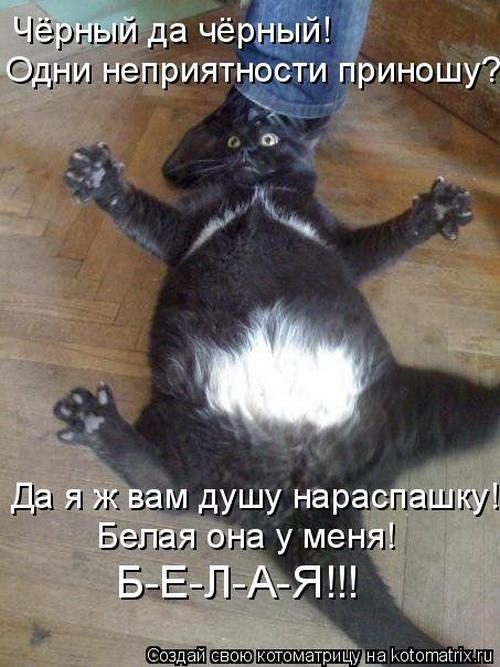 4743317_335187 (500x667, 60Kb)