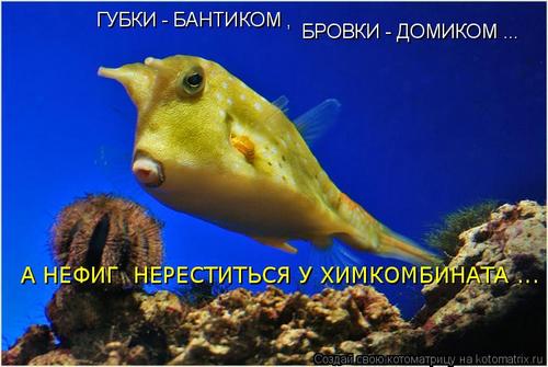 4743317_335862 (500x335, 32Kb)