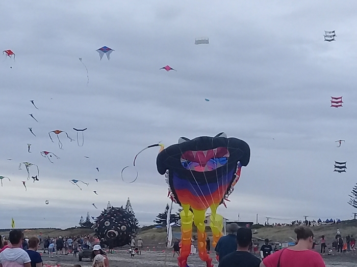 4061676_20180210_122659 (700x525, 194Kb)