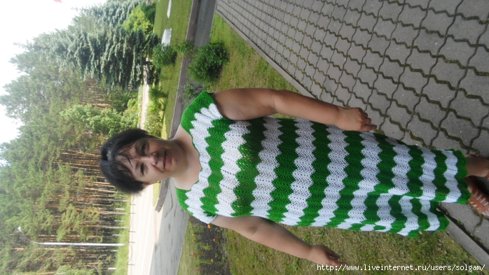 SAM_2903 (700x393, 271Kb)