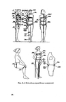  1grigor_eva_o_nurzhasarova_m_praktikum_po_individual_nym_zaka-036 (454x700, 109Kb)
