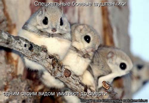 4743317_341744 (500x346, 29Kb)