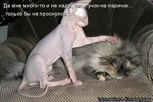 4743317_341909 (500x334, 39Kb)
