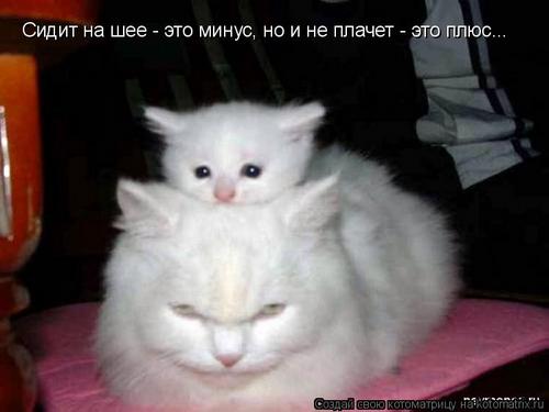 4743317_345141 (500x375, 20Kb)