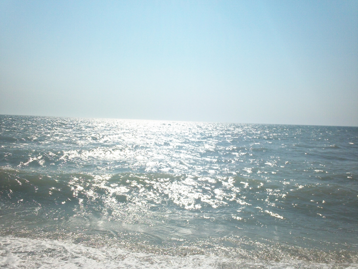 100_8906 (700x525, 414Kb)