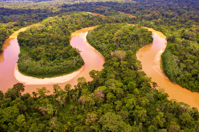 Amazon-River-Wallpaper-Gallery (700x466, 569Kb)