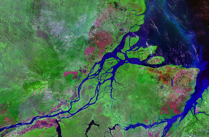 Mouths_of_amazon_geocover_1990 (700x460, 697Kb)