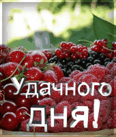   (170x200, 501Kb)