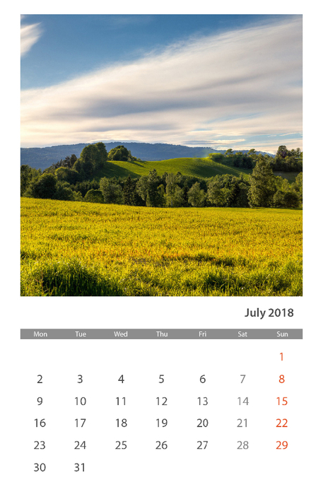 1 Calendar 2018 Iulie (2) (457x700, 278Kb)