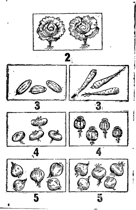 malenkie-matematiki-1932_5 (453x700, 145Kb)